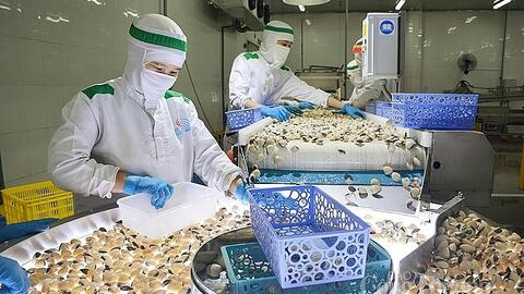 No need to clam up about Vietnam’s bivalve exports to EU