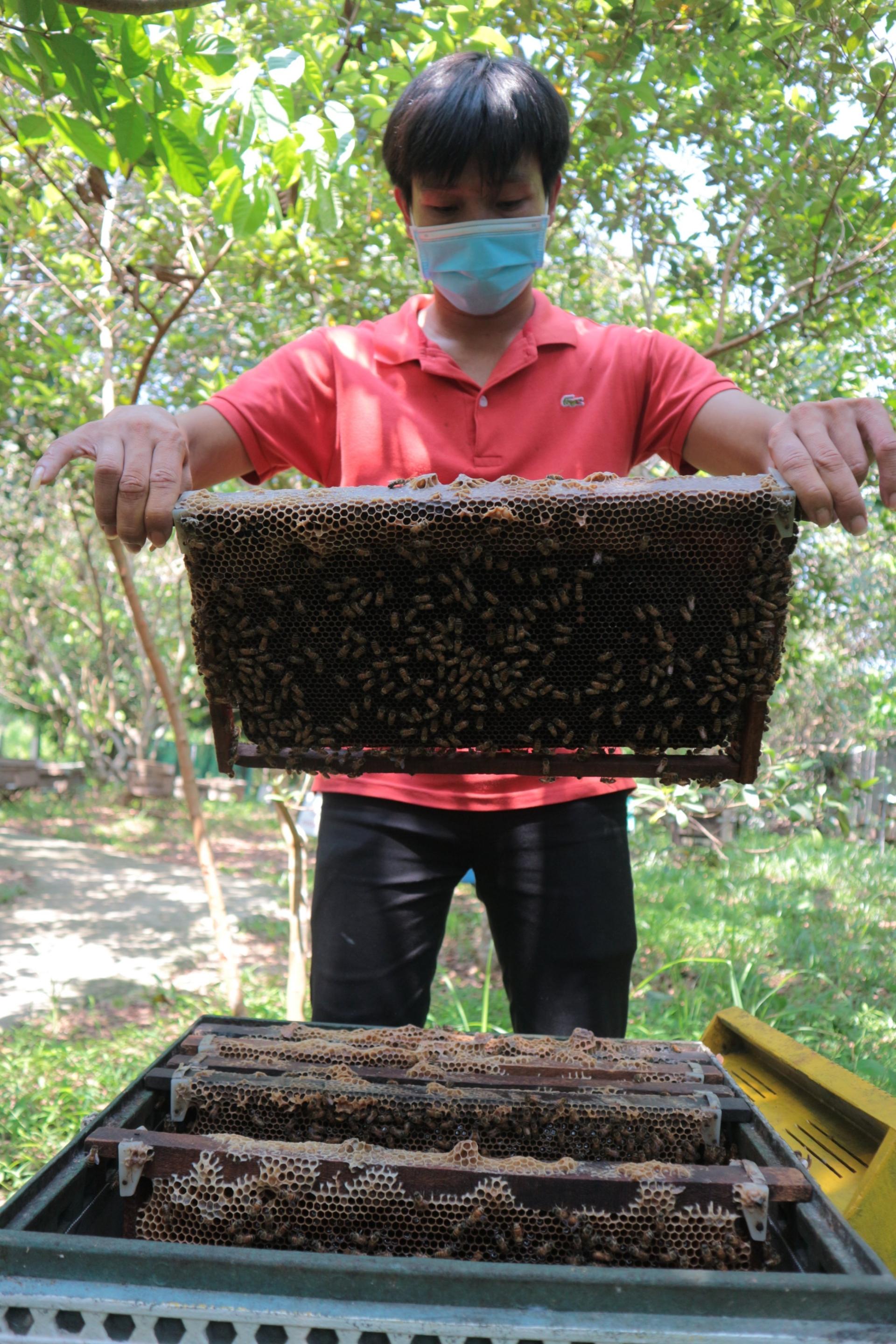 us anti dumping tax drop delights vietnamese honey bee sness