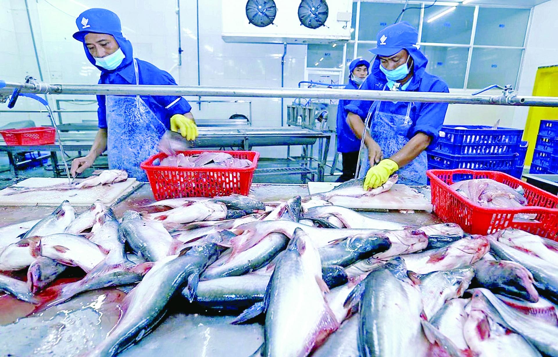 vietnamese tra fish exports surge especially to nordic markets